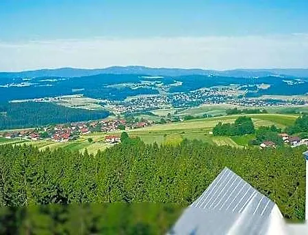 Rinchnacher Hof イン